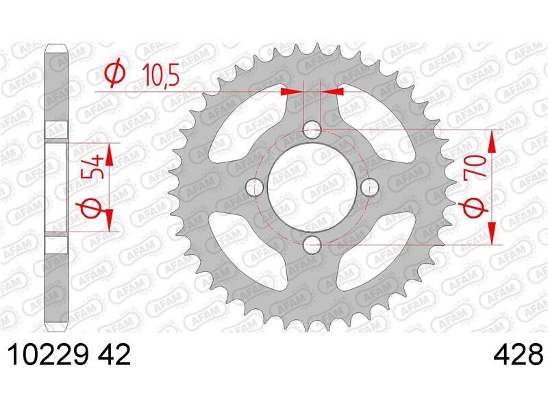 Zadnji zobnik AFAM 10229-42 (428)