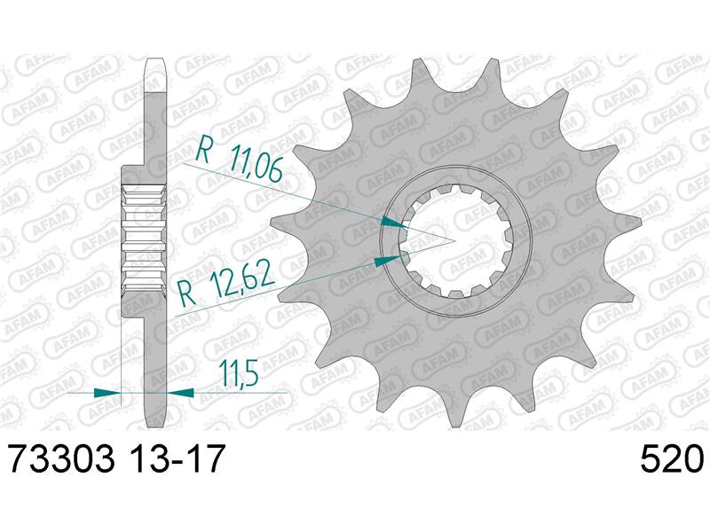 Sprednji zobnik AFAM 73303-13 (520)